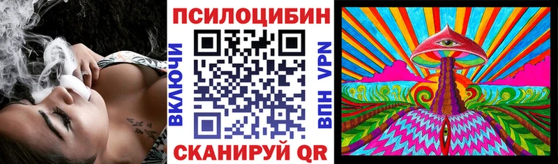 Псилоцибиновые грибы GOLDEN TEACHER  продажа наркотиков  Выборг 