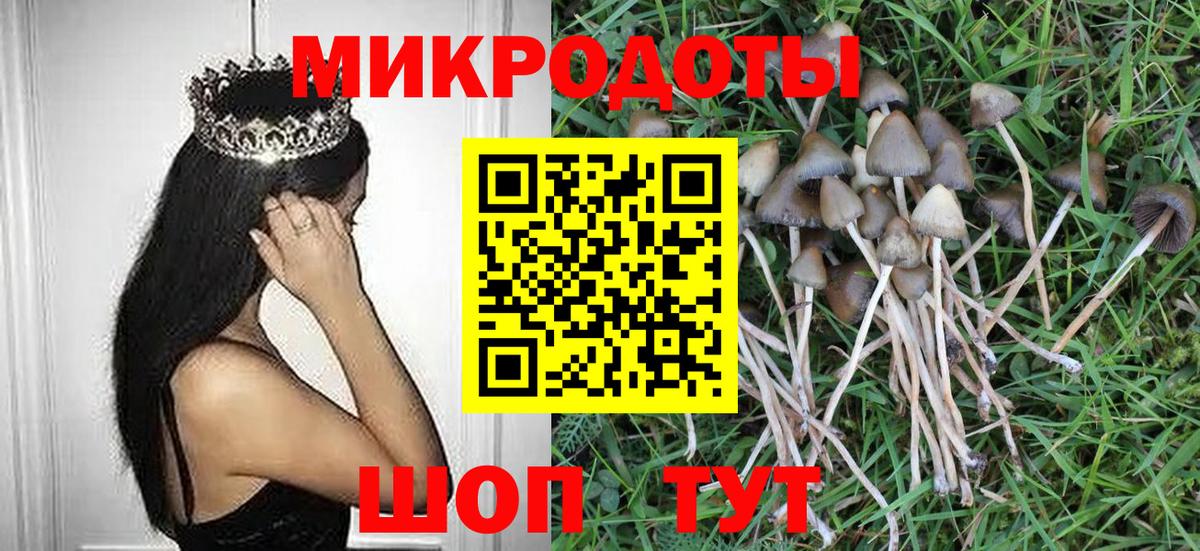Выборг  Галлюциногенные грибы Psilocybe  Вход с VPN  Галлюциногенные грибы Cubensis 