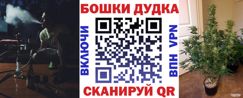 Шишки марихуана планчик  hydra ТОР  Выборг 